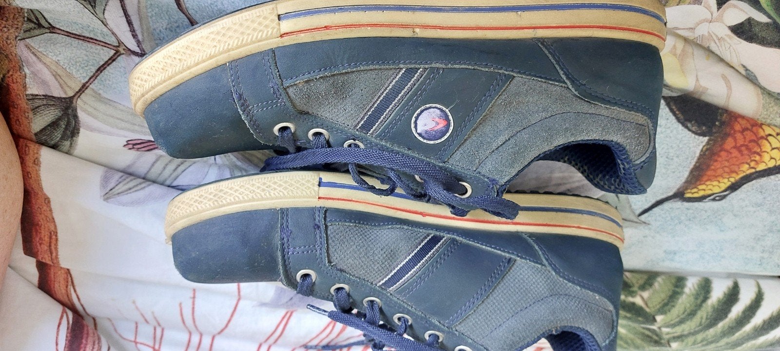 Modieuze veiligheidsschoenen M: 43 Cofra, Doe-het-zelf en Bouw, Ophalen