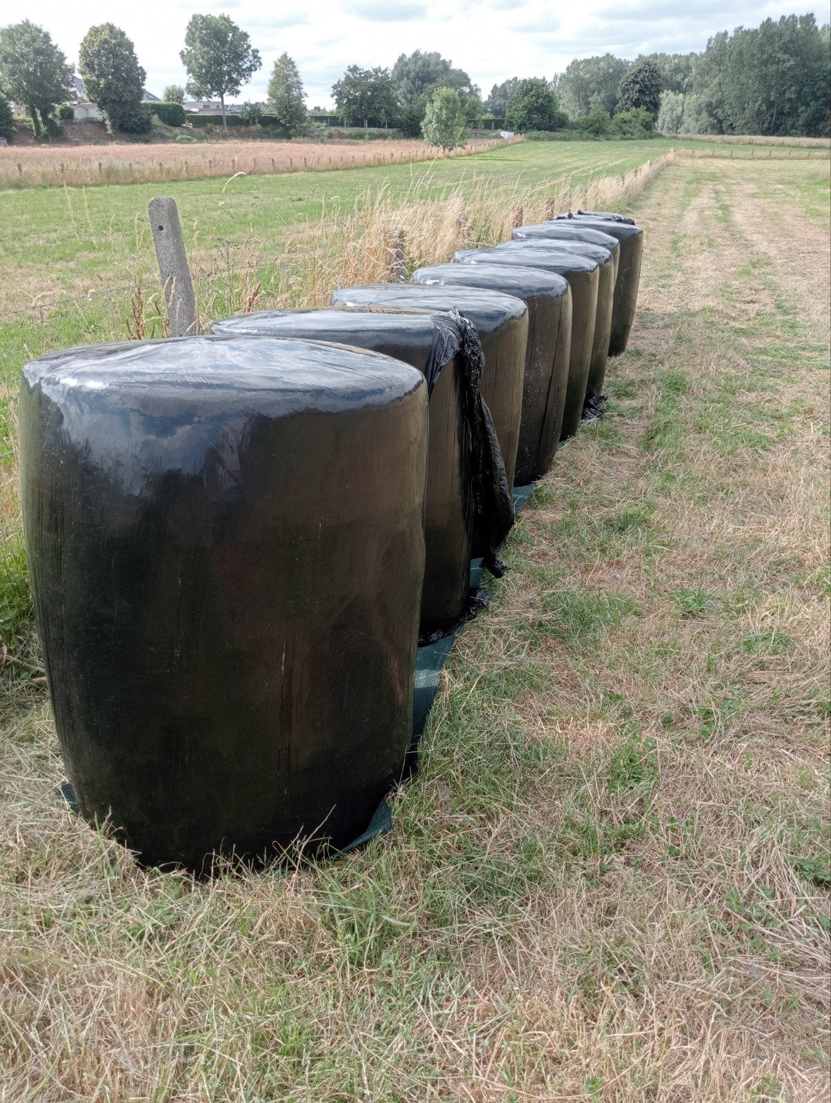 Voordroog hooi zelf ophalen eerste snede 11 stuks van 1meter, Dieren en Toebehoren, Ophalen