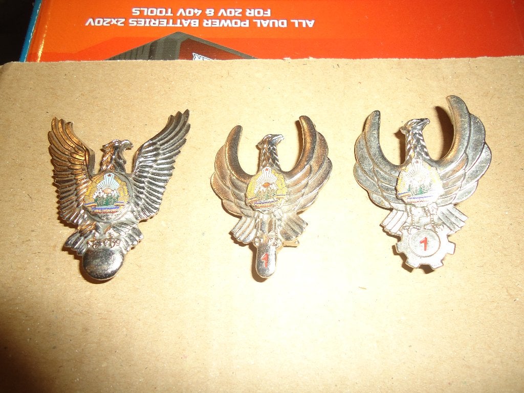 brevets aviation roumain, Enlèvement ou Envoi, Armée de l'air, Emblème ou Badge