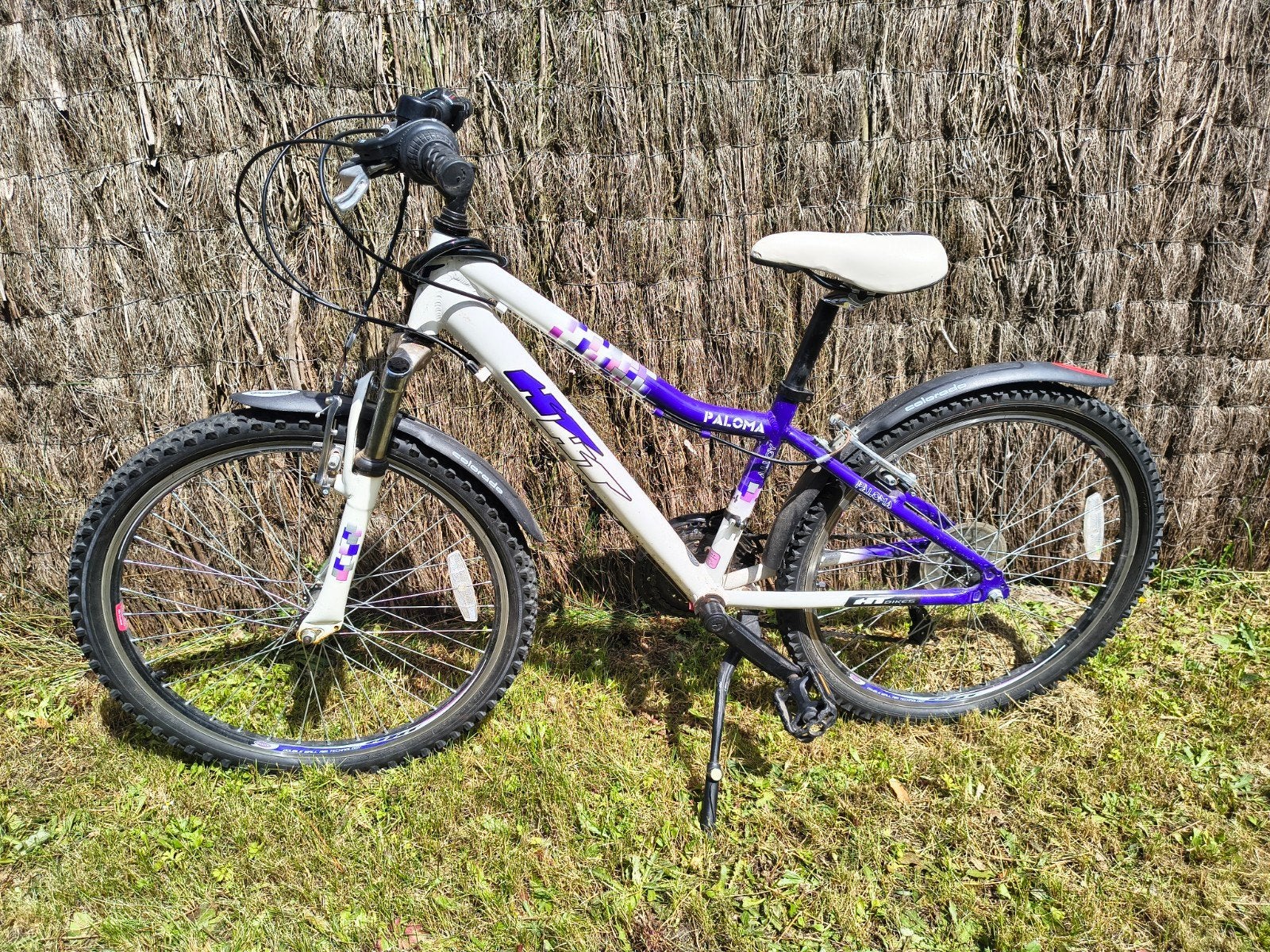 Mountainbike, Fietsen en Brommers, Fietsen | Mountainbikes en ATB, Minder dan 45 cm, Ophalen, Gebruikt, Velgrem