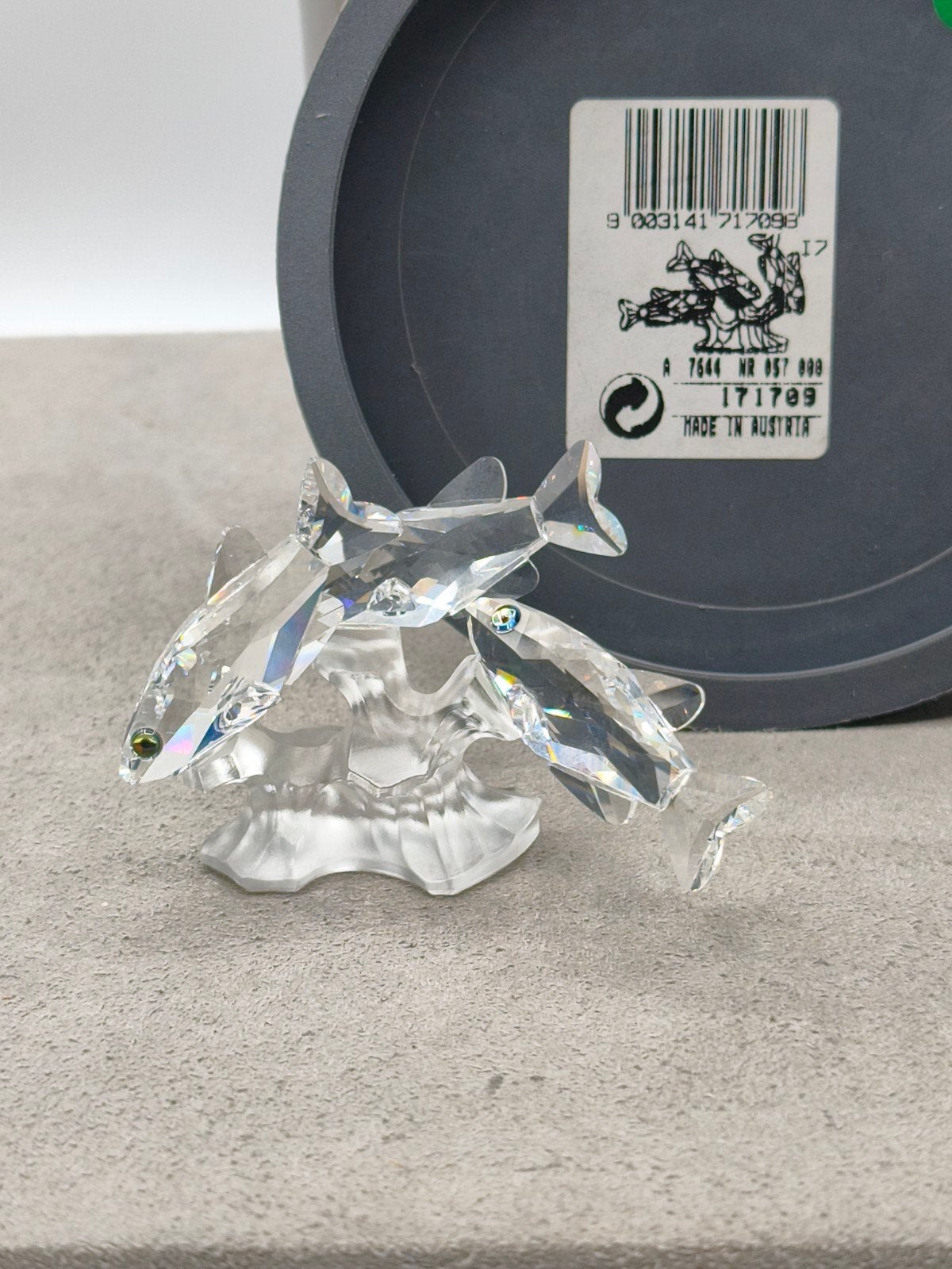 Swarovski Tropische visjes., Collections, Enlèvement ou Envoi