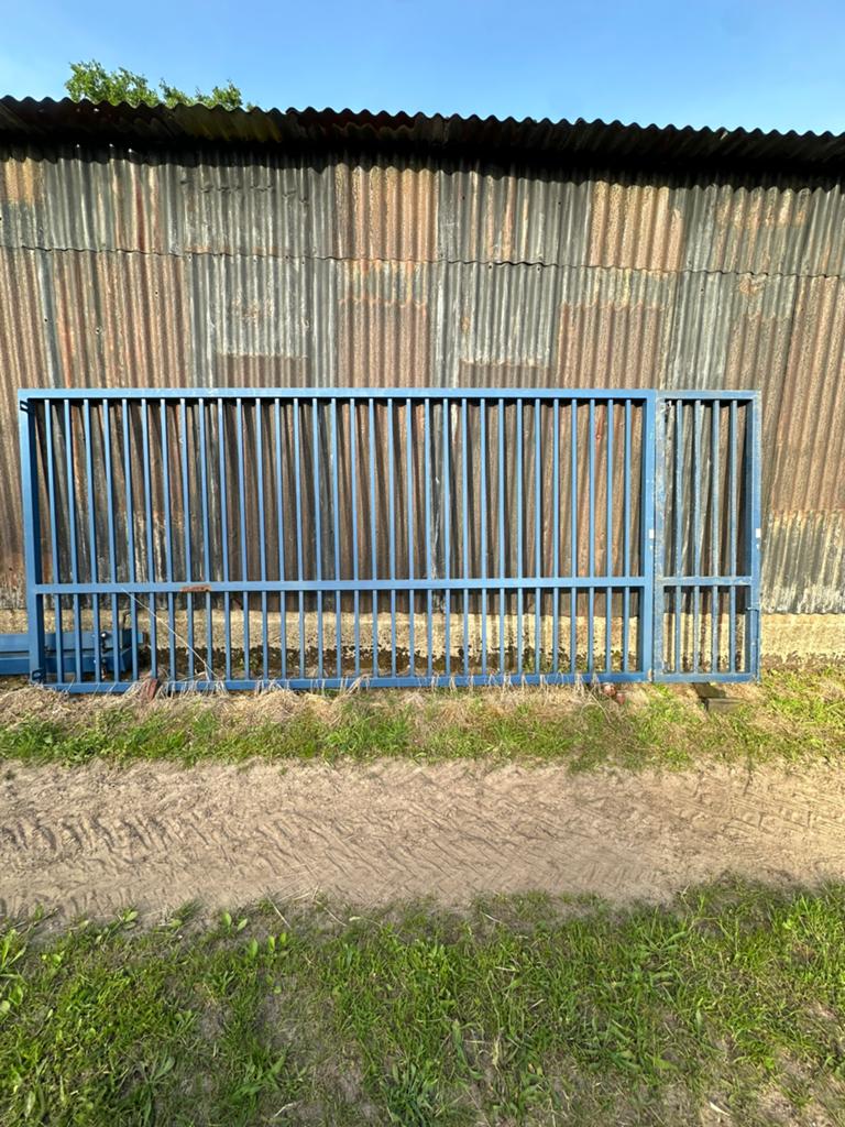 Toegangspoort, Tuin en Terras, Tuinhekken en Hekwerk, Ophalen, Gebruikt, IJzer, Overige typen