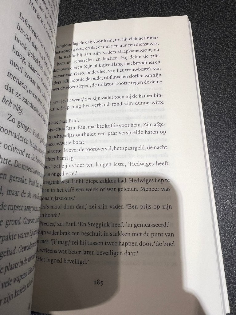 De heilige Rita - Tommy Wieringa, Boeken, Tommy Wieringa, Ophalen of Verzenden, Zo goed als nieuw, Nederland