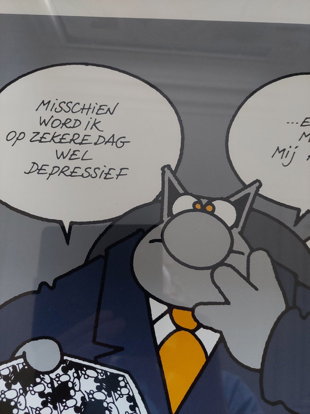 Philippe Gheluck zeefdruk, Collections, Personnages de BD, Enlèvement