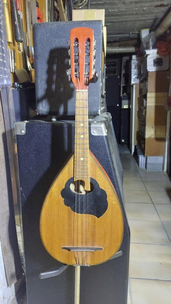 Mandoline à dos plat facile à jouer, Musique & Instruments, Instruments à corde | Mandolines, Enlèvement ou Envoi