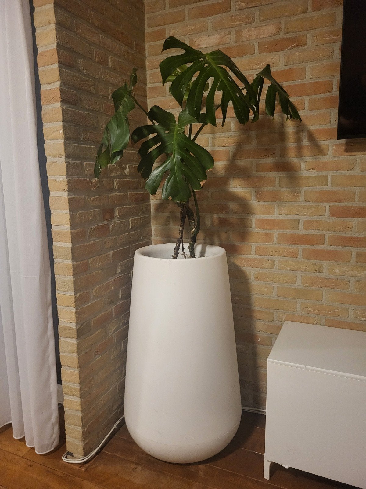 bloempot + bloem te koop, Huis en Inrichting, Ophalen