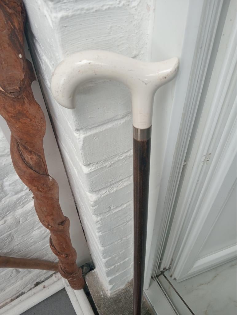 Canne Derby 88 cm, Enlèvement ou Envoi