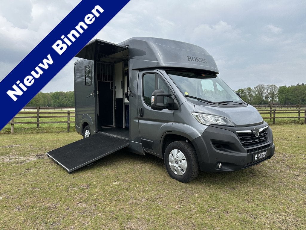 Opel Movano AKX 2-paards paardenvrachtwagen B-rijbewijs 3000, Info@hulshof-trading.nl, Utilisé, Harskamperweg 60
3774JR  KOOTWIJKERBROEK, NL