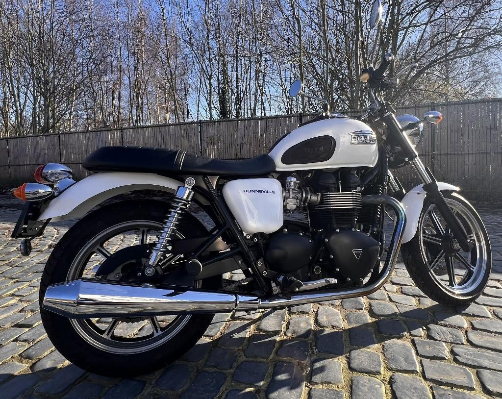 Triumph « Crystal White Pearl » Bonneville 2013, Motos, Tourisme, Plus de 35 kW, 2 cylindres, Particulier