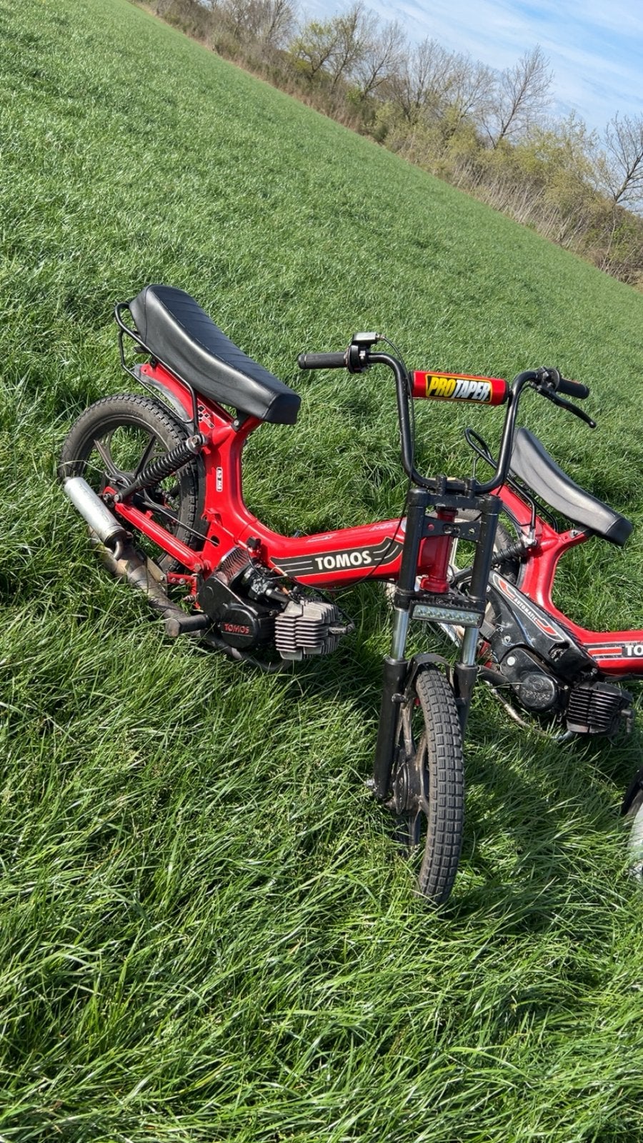 Tomos, Vélos & Vélomoteurs, Cyclomoteurs | Tomos, Utilisé, Standard, Classe B (45 km/h), Enlèvement