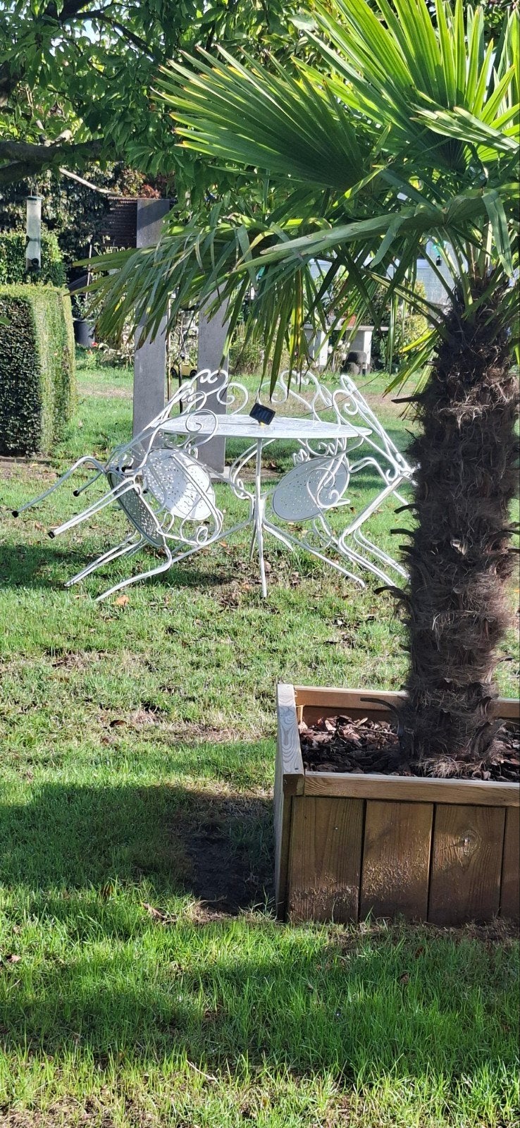 Tuinset 20e authentiek, Jardin & Terrasse, Ensembles de jardin, Enlèvement, Salons de jardin