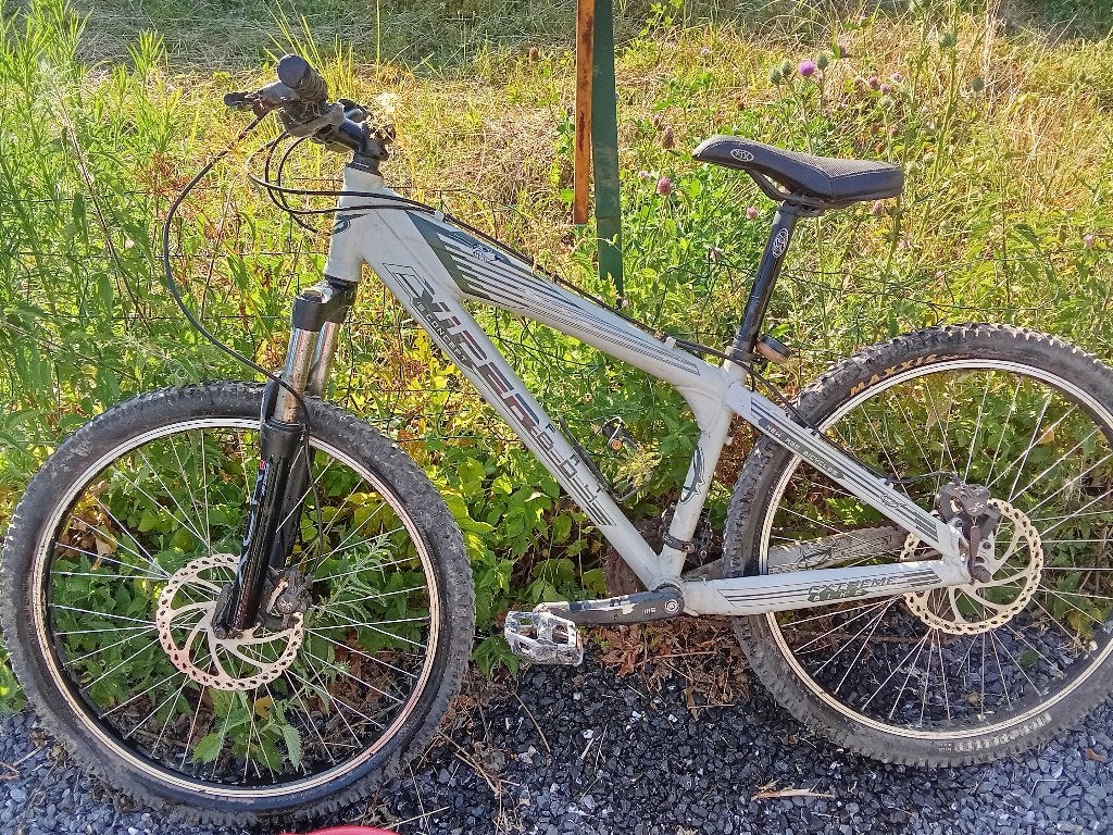 Vtt de descente Viper, Vélos & Vélomoteurs, Vélos | VTT & Mountainbikes, Autres marques, Enlèvement, Utilisé, Hommes