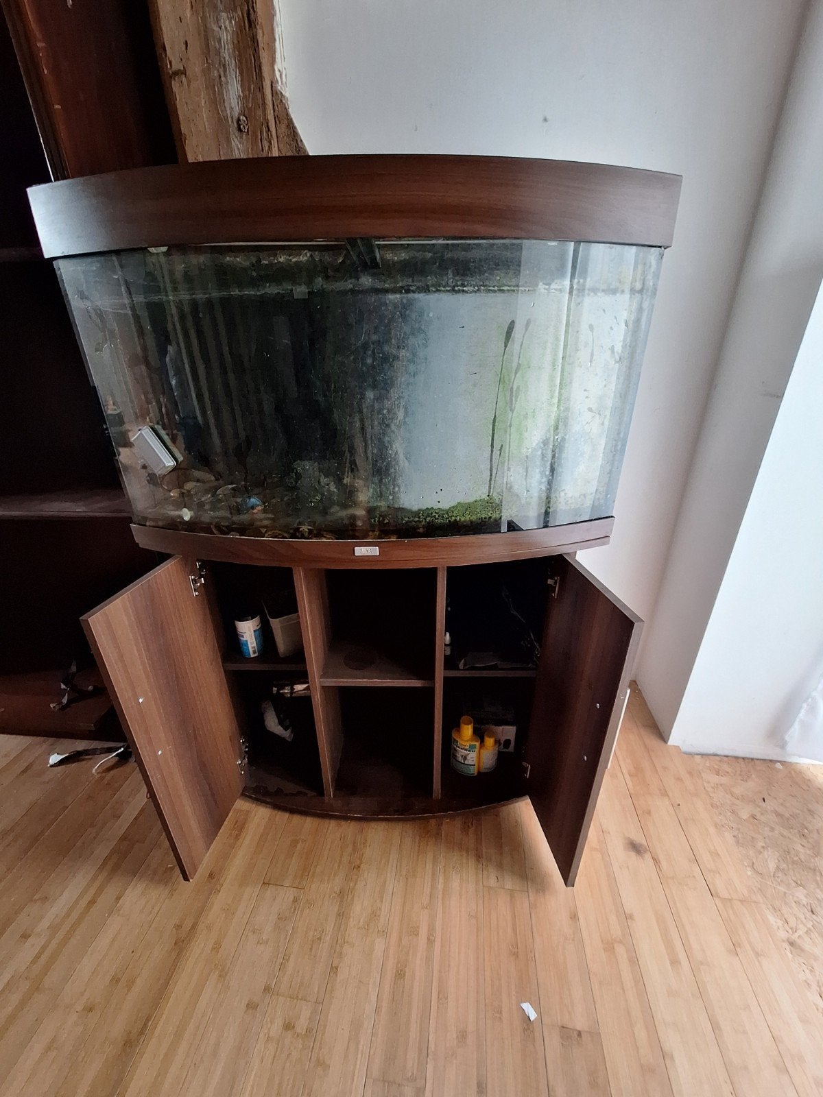 aquarium, Enlèvement