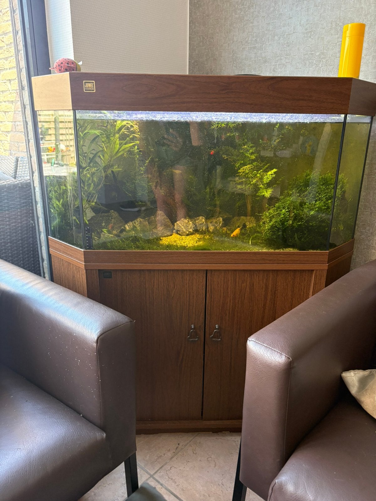 Hoekaquarium te koop, Enlèvement, Comme neuf