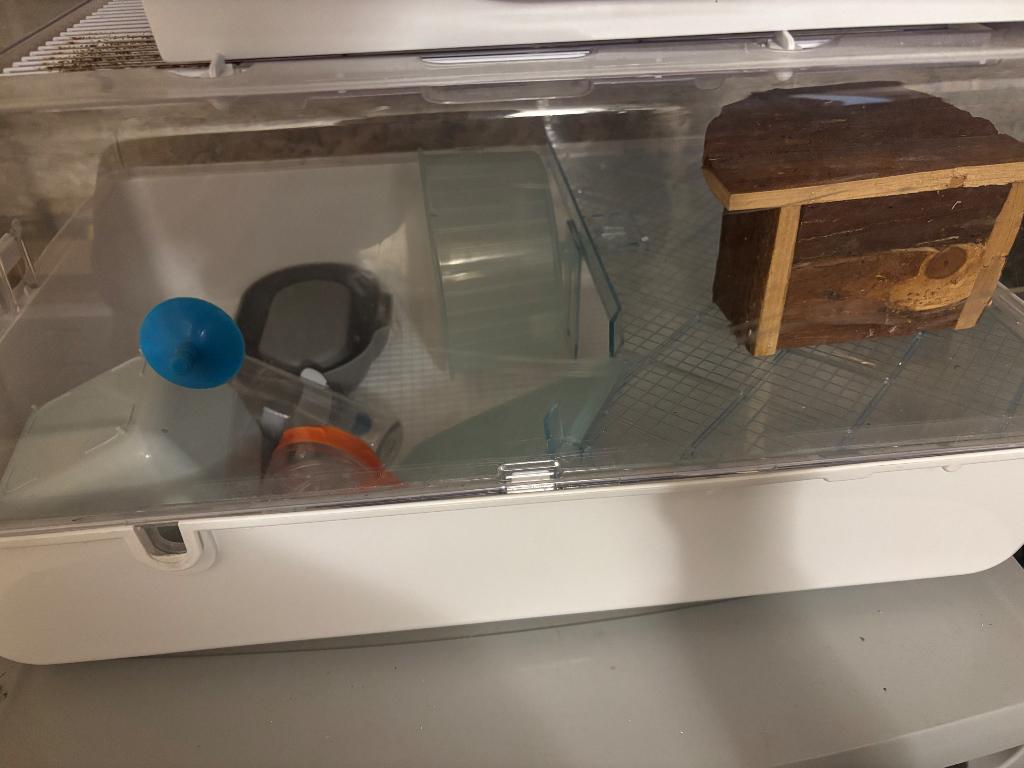 Cage hamster, Ophalen, Zo goed als nieuw, Kooi, Hamster