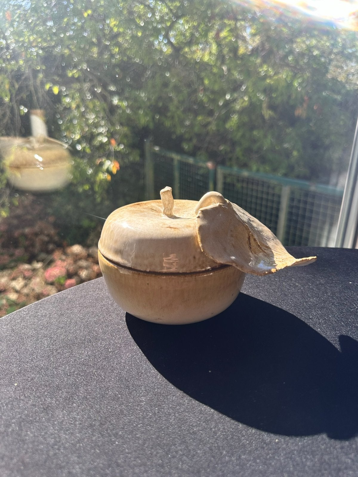 Keramieken pot in de vorm van een appel, Ophalen