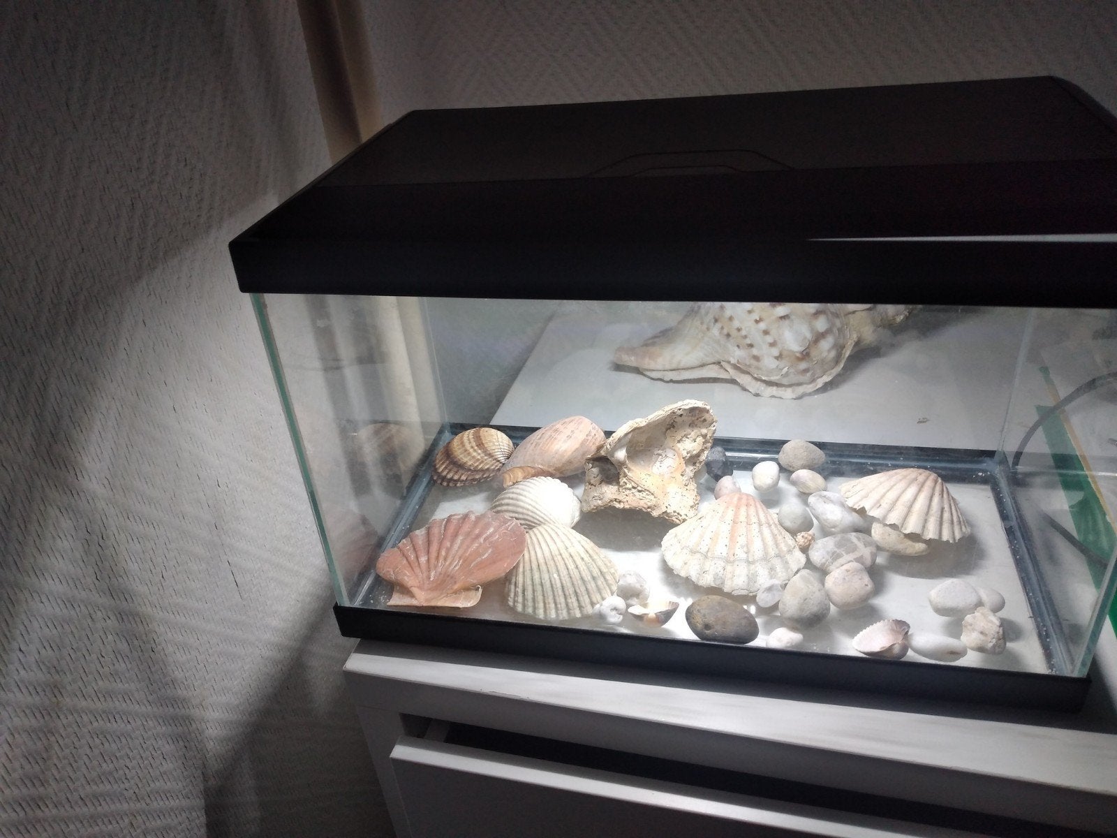Aquarium avec lumière, filtre et beaucoup de coquillages., Enlèvement, Comme neuf, Meuble d'aquarium