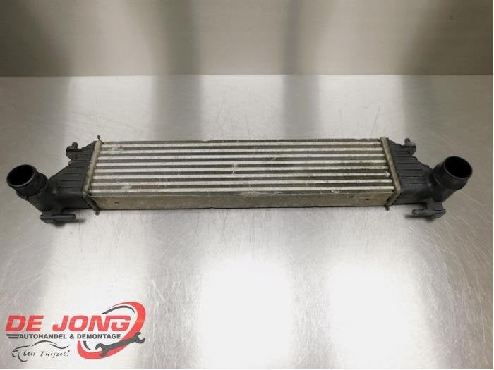 Intercooler van een Fiat 500L, Gebruikt, -, -, Ophalen of Verzenden