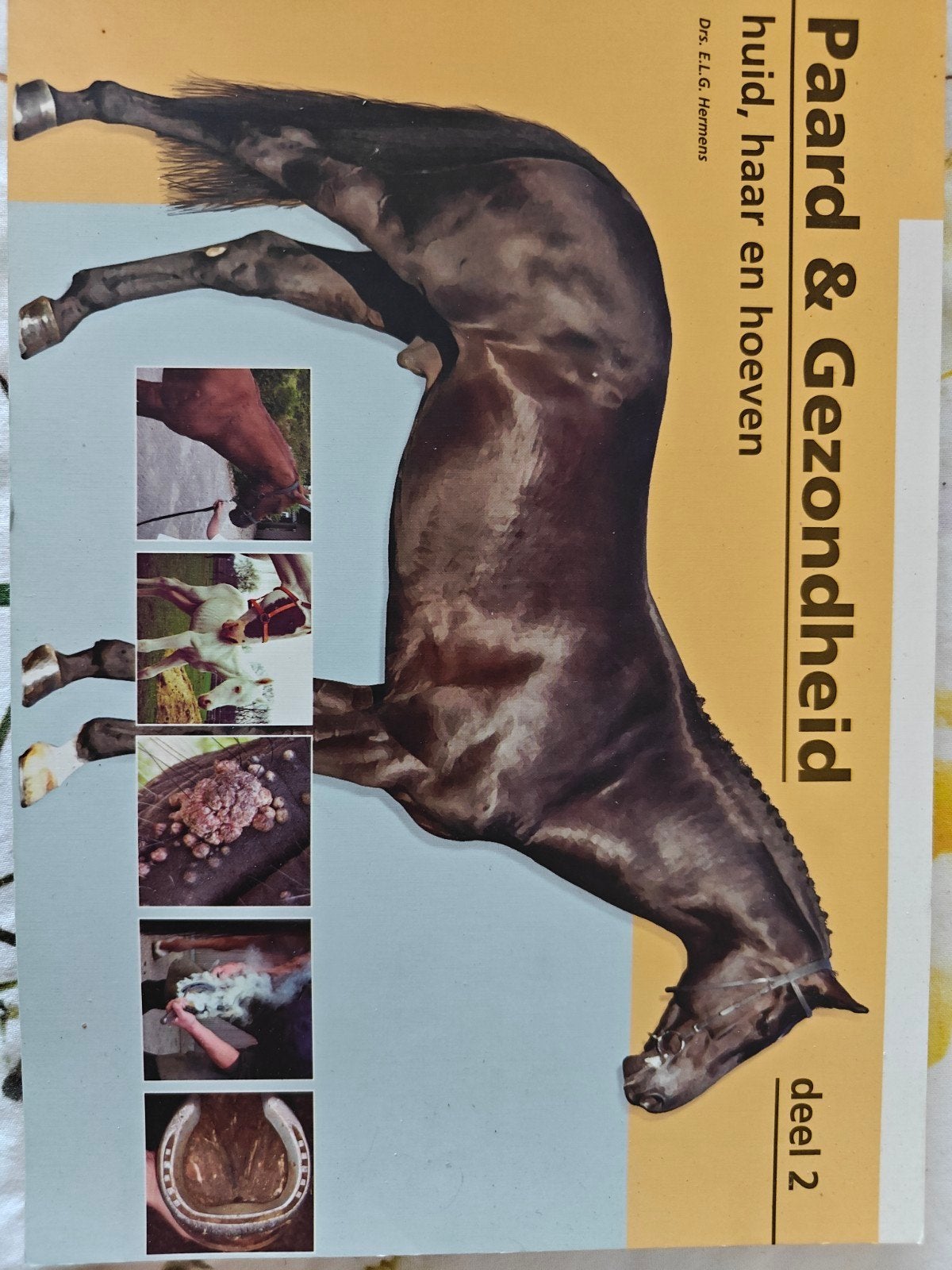 Paard & gezondheid, Enlèvement ou Envoi