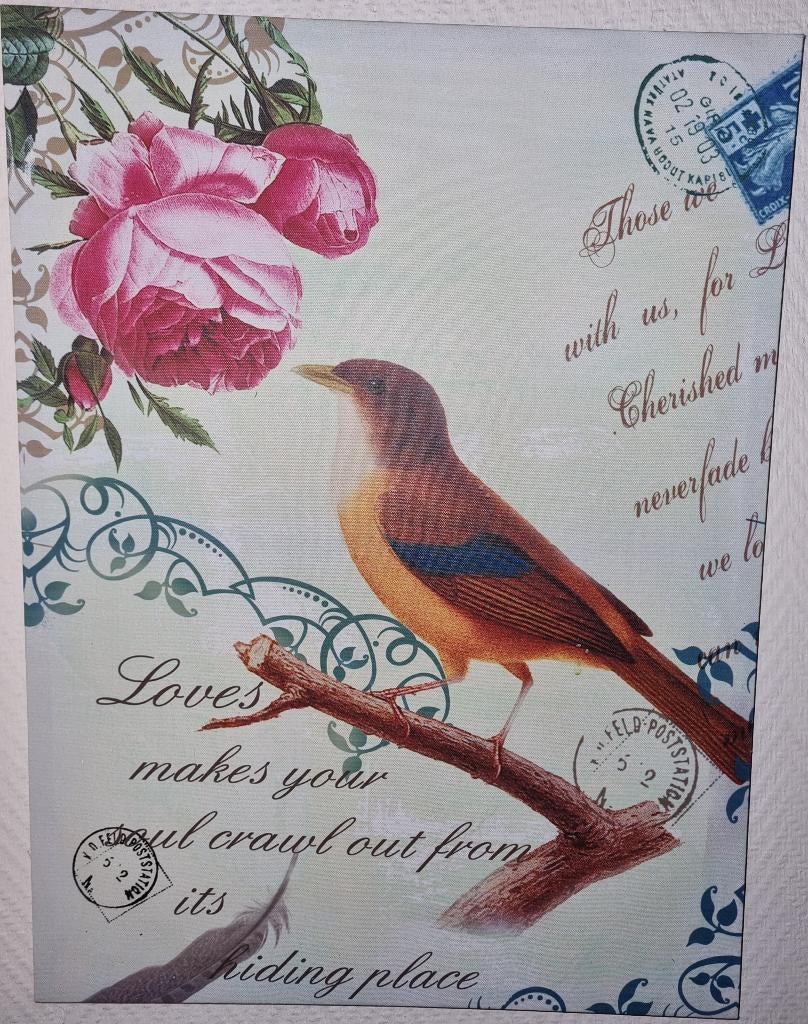 Deco canvas in vintage stijl/Shabby Chic - Bird and Roses, Ophalen of Verzenden, Gebruikt