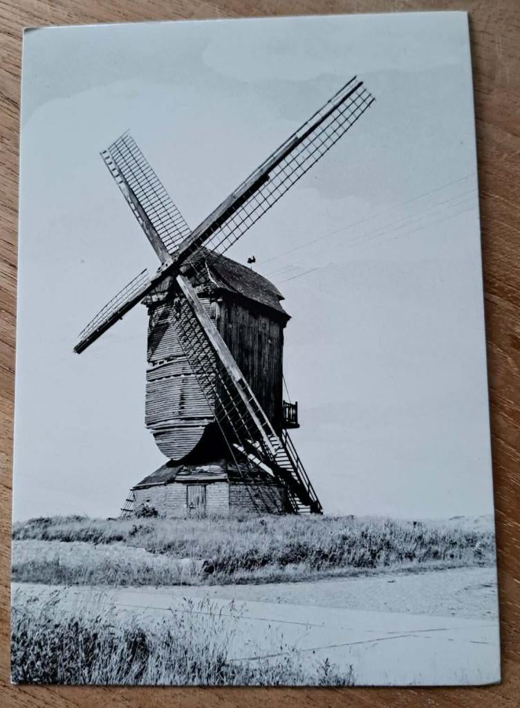 postkaart Schaffen - Windmolen, Verzamelen, Ophalen of Verzenden, Ongelopen, Vlaams-Brabant