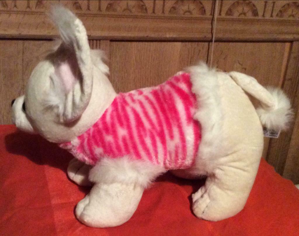 Grote dikke pluche knuffel chiwauwa., Ophalen of Verzenden, Zo goed als nieuw