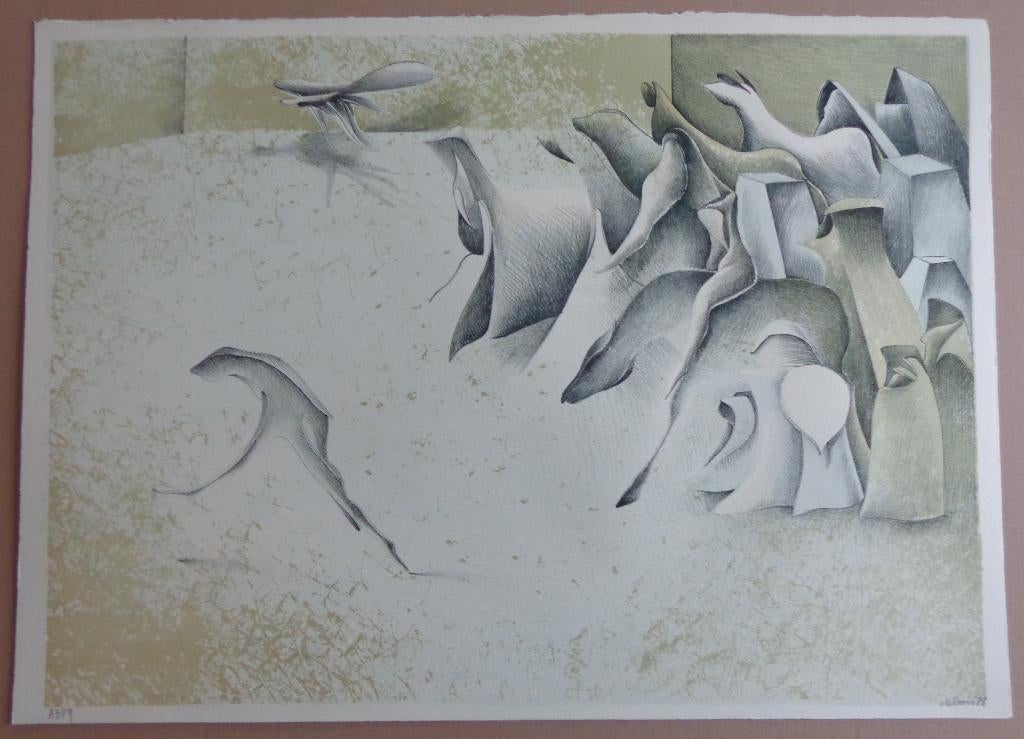 ALBERT DEBOIS / LOT VAN 11 STUKS / KLEURLITHO / 52x73cm SIG, Ophalen of Verzenden
