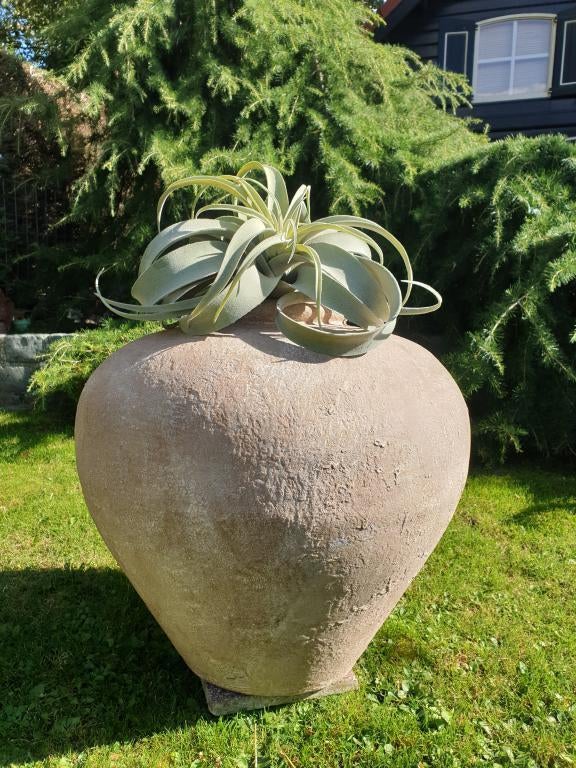 landelijke grote prachtige vaas, Ophalen of Verzenden, Nieuw
