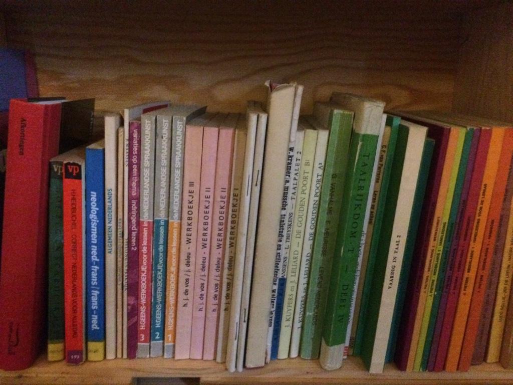 UPDATE Boekenlijst voor leraars/studenten Nederlands, Boeken, Ophalen of Verzenden, Gelezen, Hoger Onderwijs