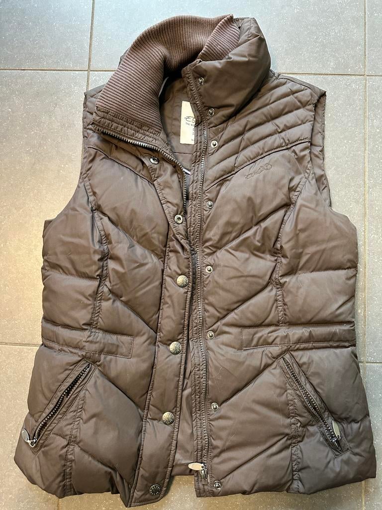 Body warmer Dames Esprit maat 38, Maat 38/40 (M), Bruin, Ophalen of Verzenden, Zo goed als nieuw