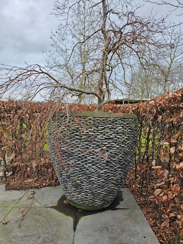 2 luxe kiezelpotten (boom zit niet meer in de pot), Enlèvement, Jardin