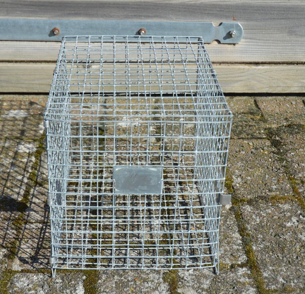 chinchilla spulletjes, Ophalen, Zo goed als nieuw
