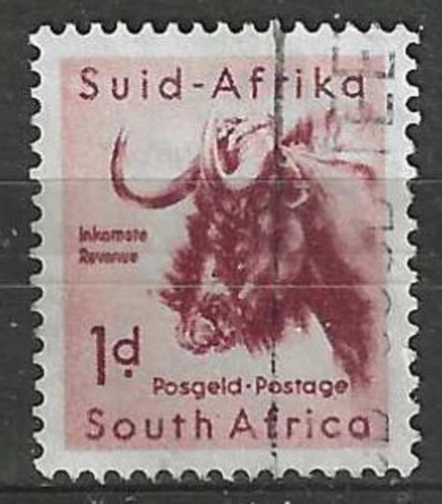 Zuid-Afrika 1954 - Yvert 202 - Gnoe  (ST), Verzenden, Zuid-Afrika, Gestempeld