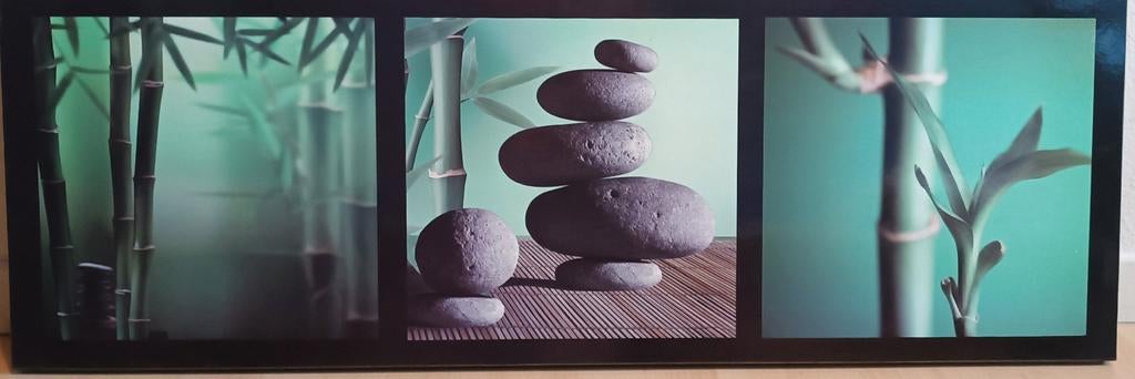 'Zen' frame (95 x 32), Ophalen, Gebruikt, 75 tot 100 cm, Minder dan 50 cm