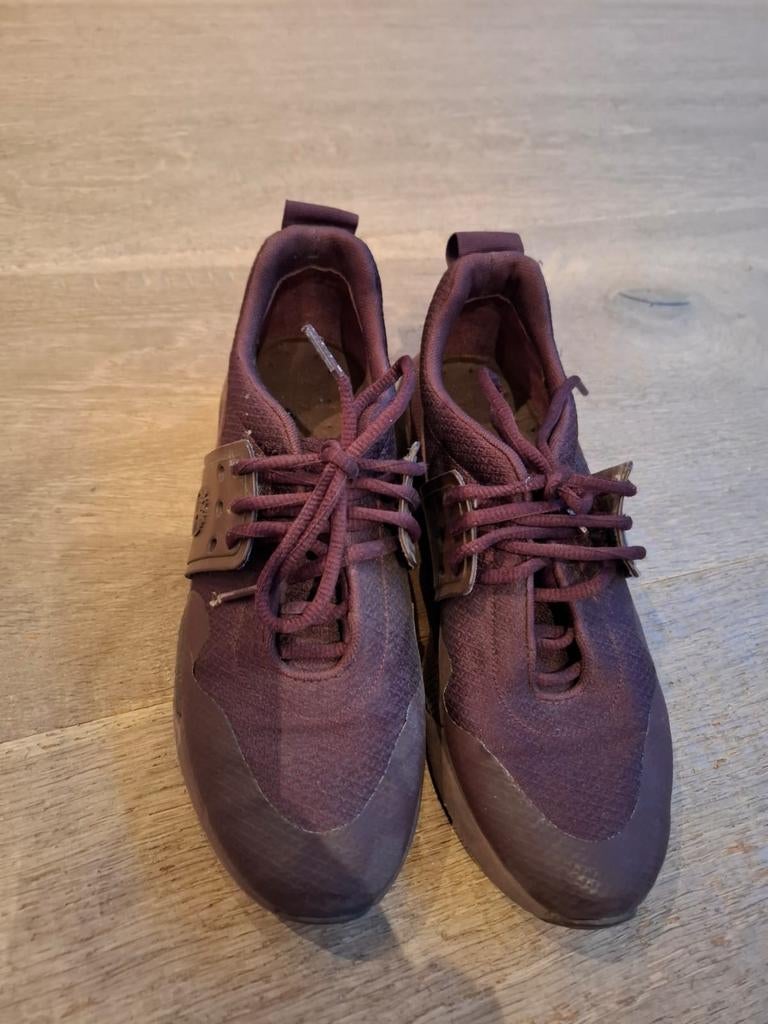 Paarse Sneaker Timberland maat 38, Ophalen of Verzenden, Zo goed als nieuw