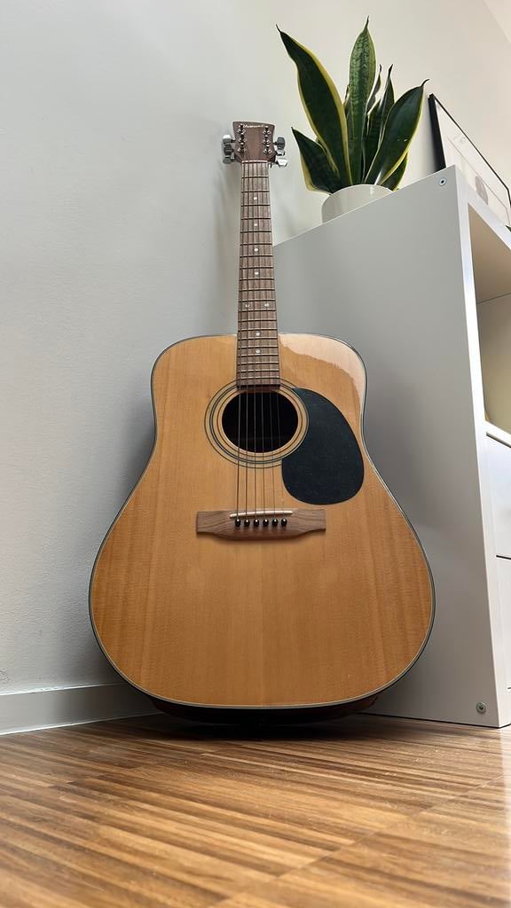 Gitaar, Ophalen, Zo goed als nieuw, Overige typen, Met koffer