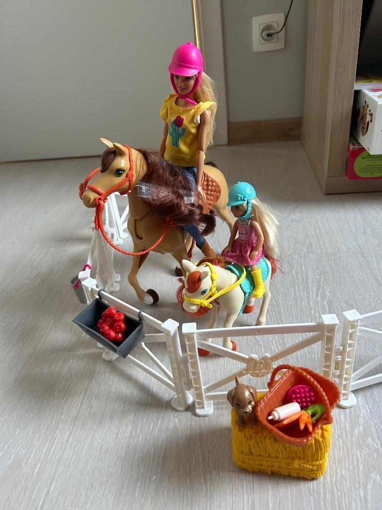 Barbie en Chelsea met paarden - speelset, Ophalen, Zo goed als nieuw, Barbie