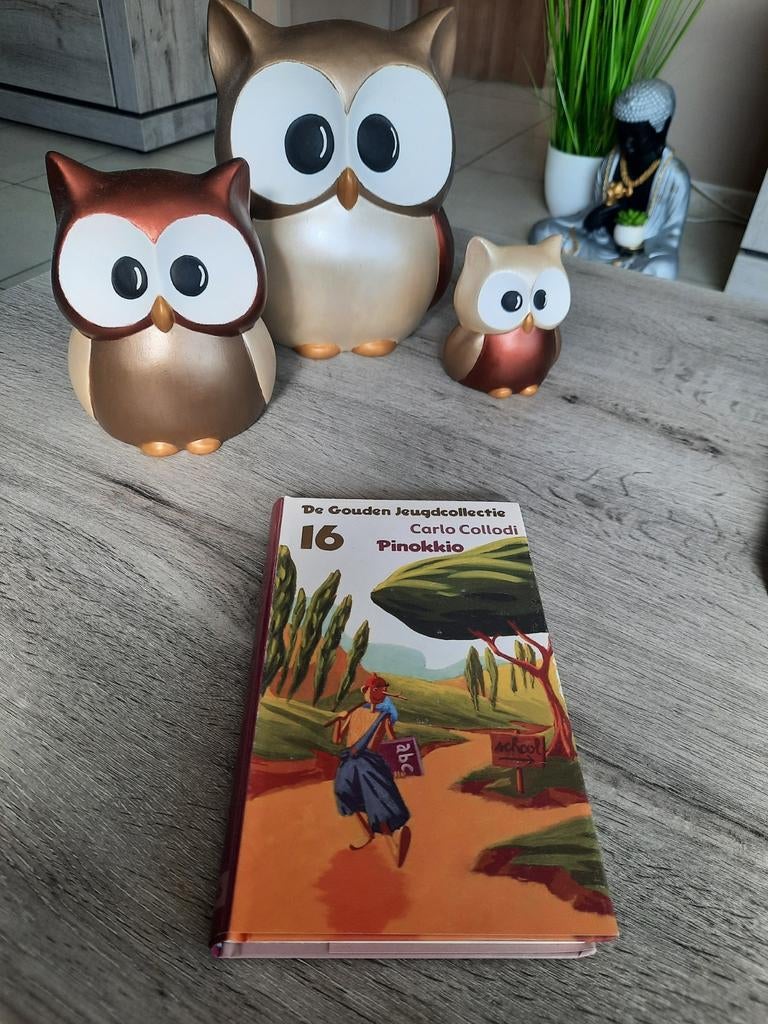 Carlo collodi - pinokkio, Boeken, Ophalen of Verzenden, Zo goed als nieuw