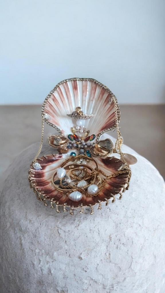 Porte bijoux en coquillage naturel