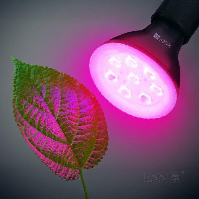 LED Groeilamp Kweeklampen Ruime keuze - Scherpe prijzen!, Ophalen of Verzenden, Nieuw, Kweeklamp