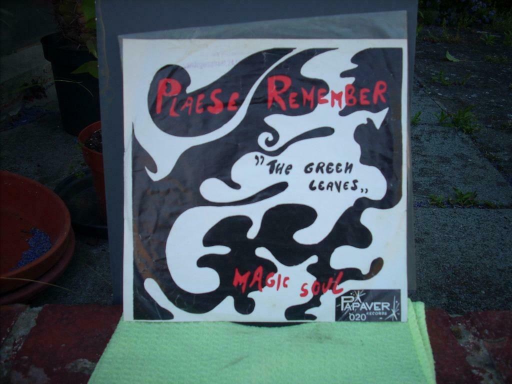 45 t The Green Leaves  'Please Remember', Ophalen of Verzenden, Gebruikt, Pop