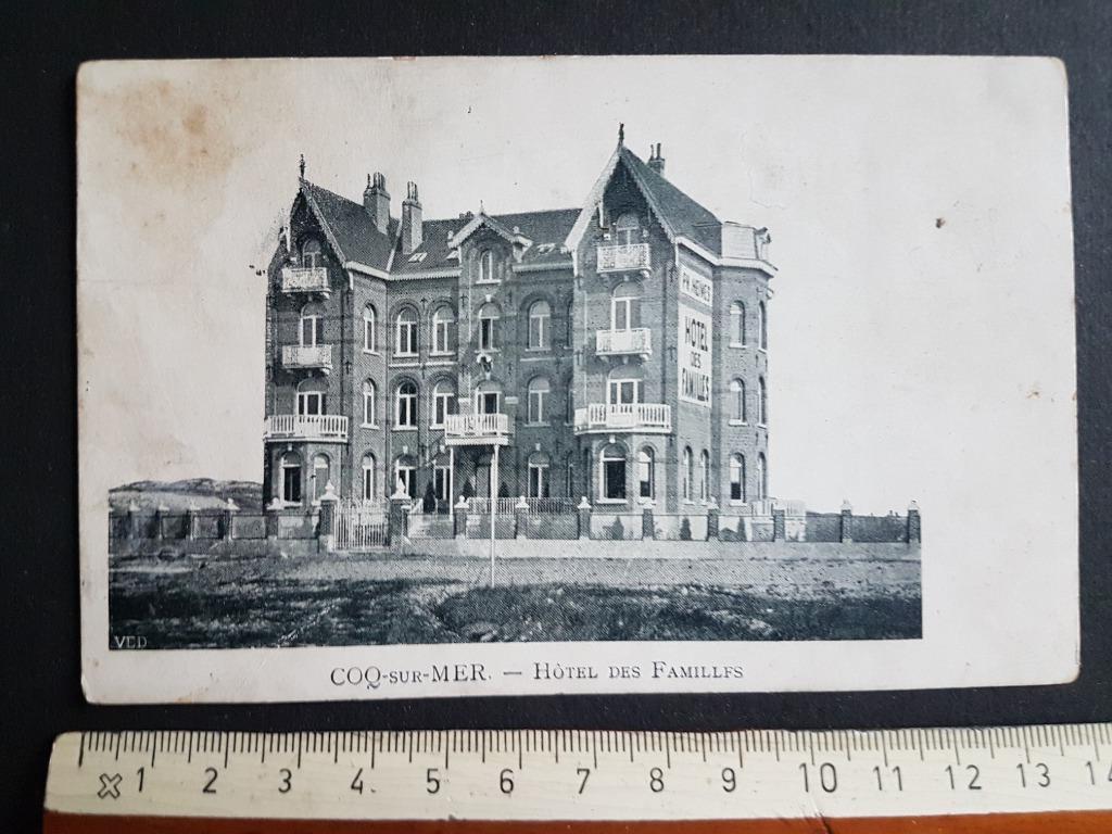Postkaart De Den Haan a/Zee Coq s/Mer Hôtel des Familles, Verzamelen, Ophalen of Verzenden, 1920 tot 1940, Ongelopen, West-Vlaanderen