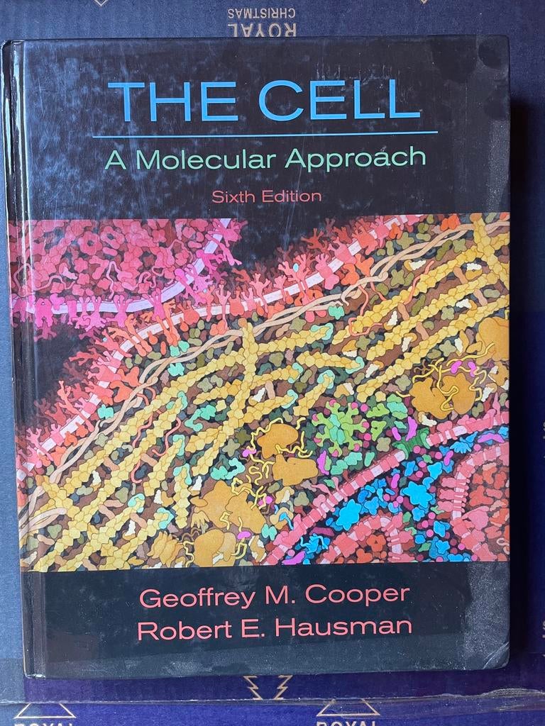 The Cell, Ophalen of Verzenden, Gelezen, Hoger Onderwijs
