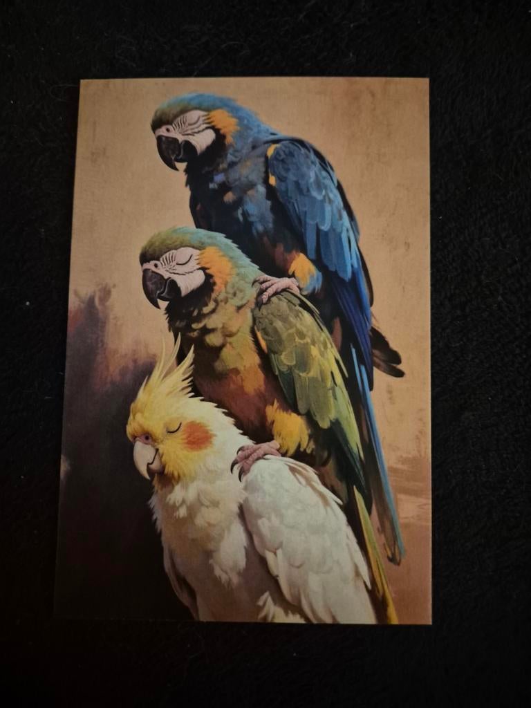 Postkaart ara valkparkiet, Ophalen of Verzenden