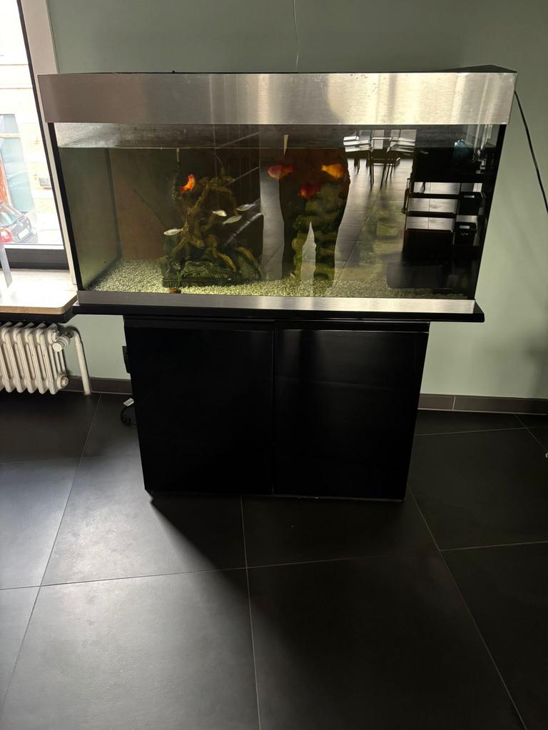 Aquarium, Enlèvement, Utilisé, Autres types