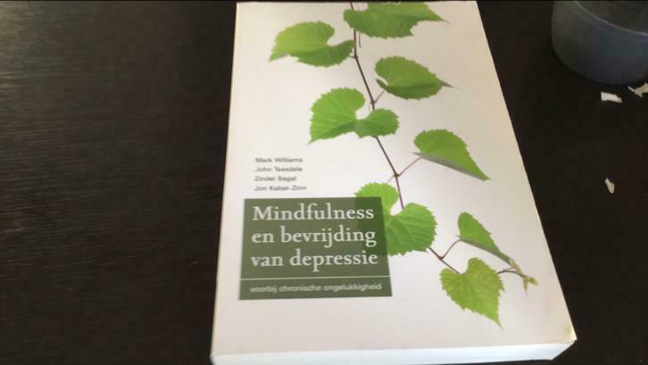 Mindfulness en bevrijding van depressie [¥], Enlèvement, Utilisé