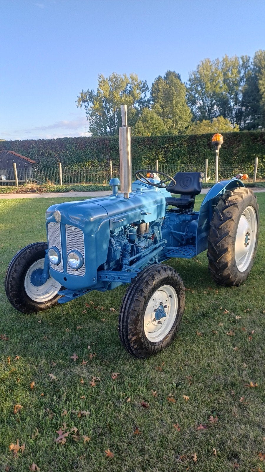 fordson dexta, Jusqu'à 80 ch, Enlèvement, 2500 à 5000, Oldtimer/Ancêtre