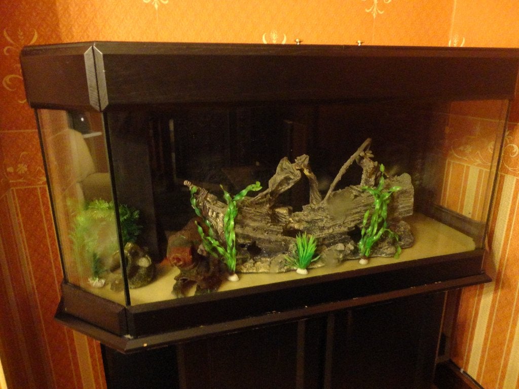 Aquarium met kast, Enlèvement, Plantes incluses, Utilisé, Aquarium vide