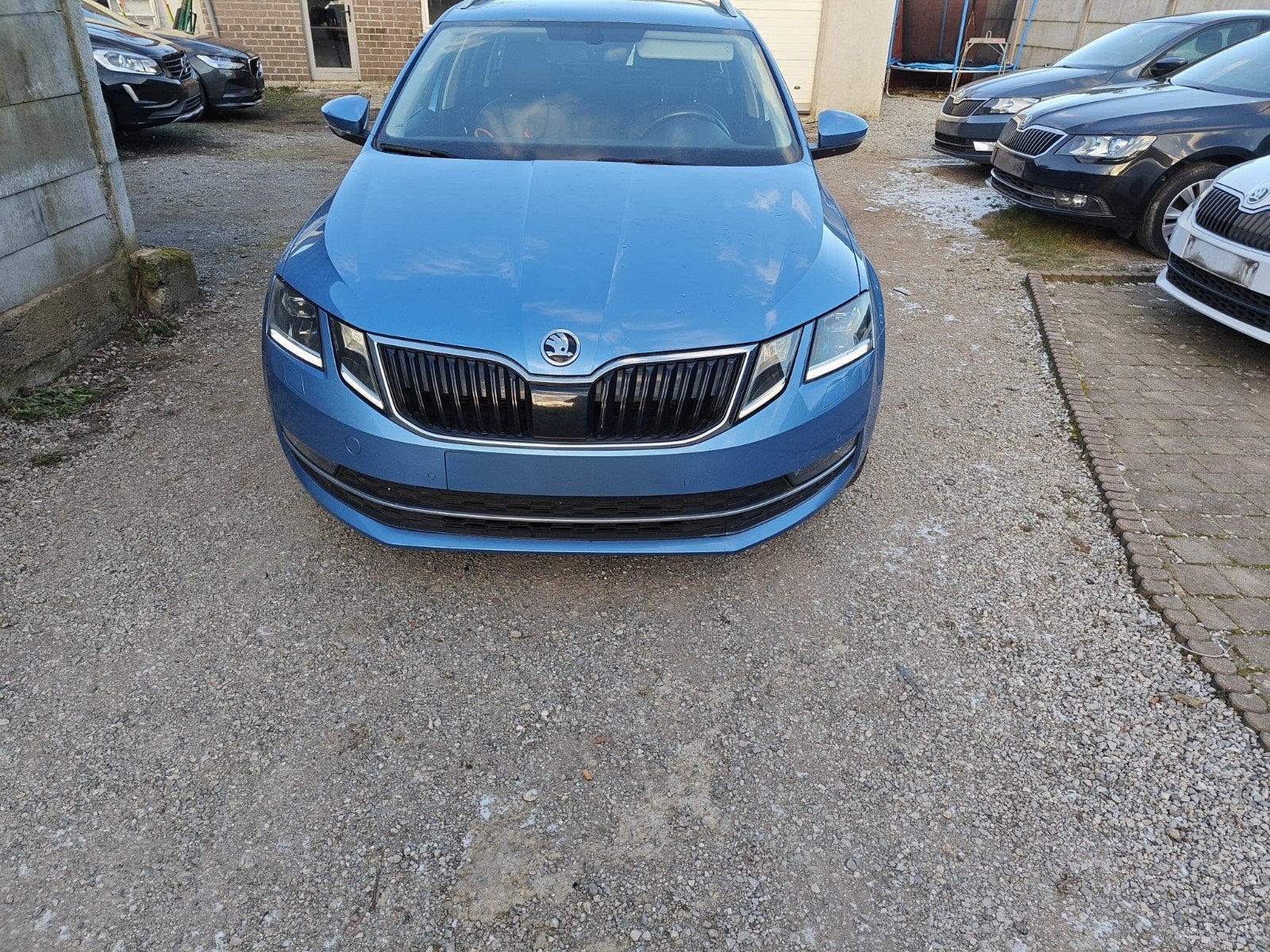 Skoda Octavia Break _2018_Export, Autos, Skoda, Cuir, Achat, Euro 6, Bleu