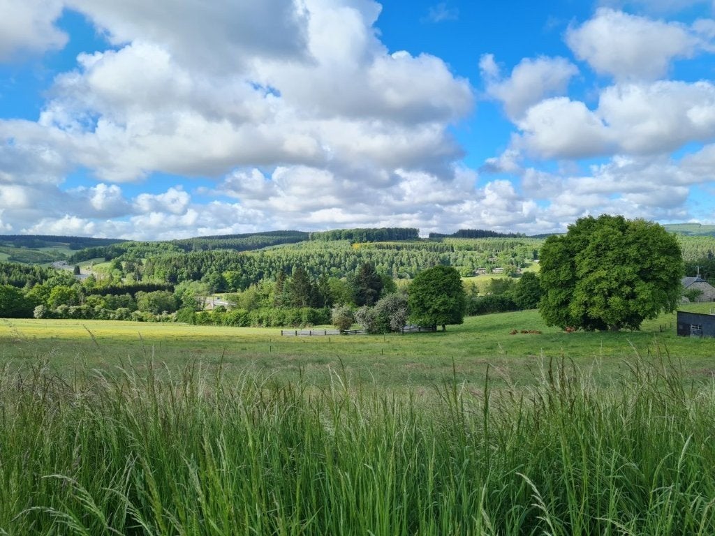 Ortheuville: bouwgrond, 11a 72ca. Mooi vrij uitzicht., Immo, Ortheuville - Tenneville, 1000 tot 1500 m²